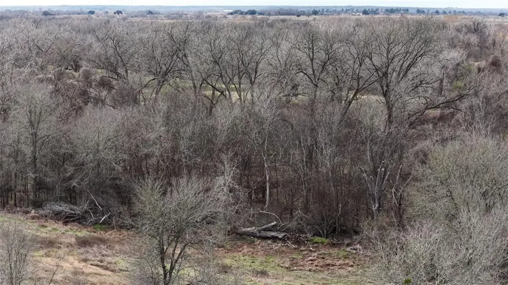 256 Greasy Bend Road Smithville, TX 78957