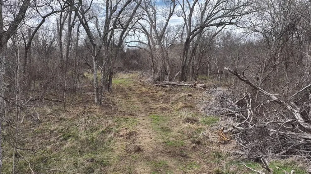 256 Greasy Bend Road Smithville, TX 78957