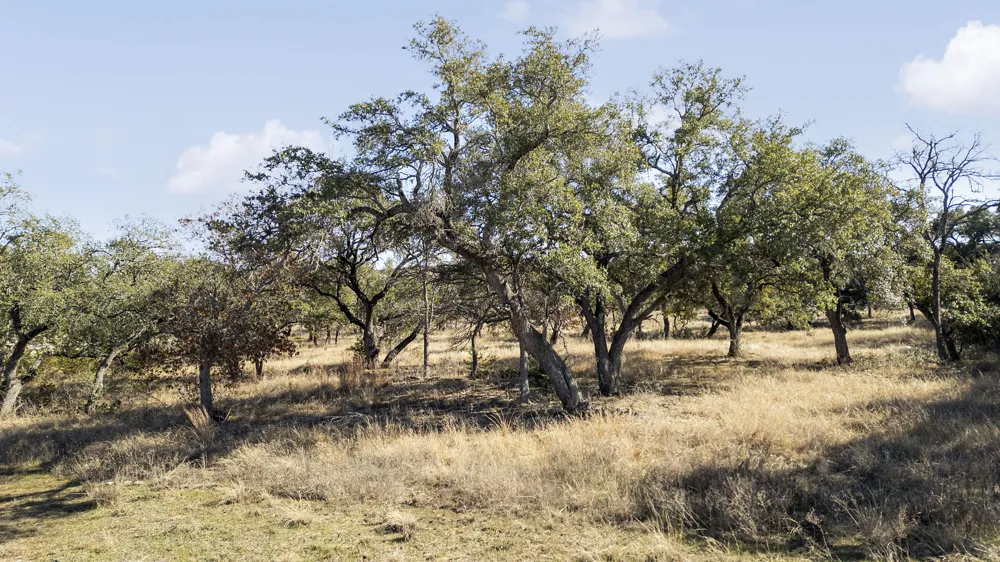 204 E Rio Ranch Road Georgetown, TX 78628