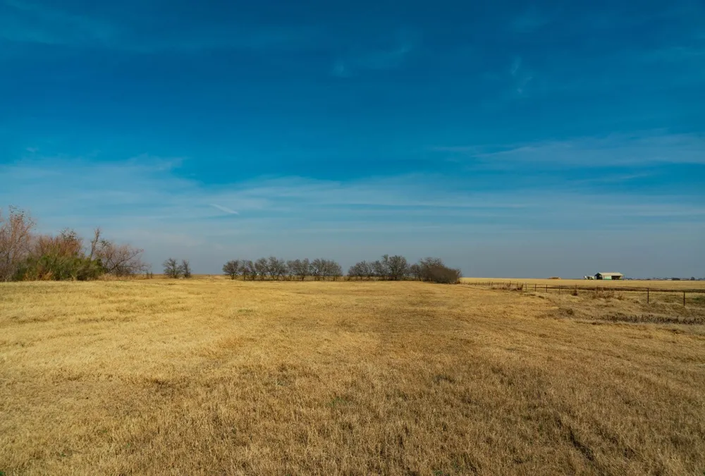 18402 Manda Carlson Road Coupland, TX 78615