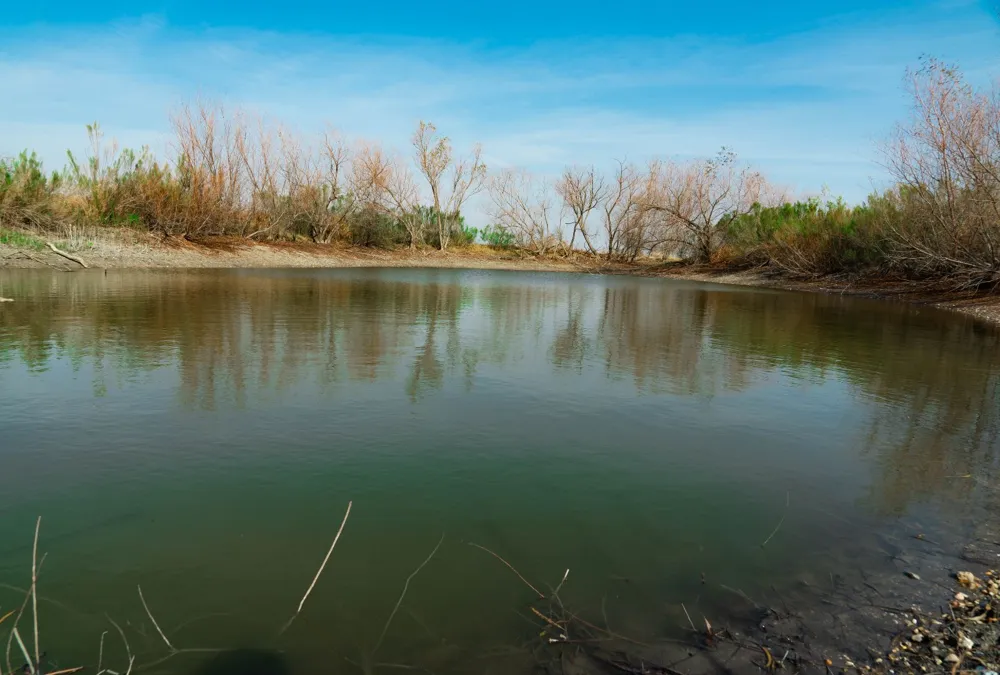 18402 Manda Carlson Road Coupland, TX 78615