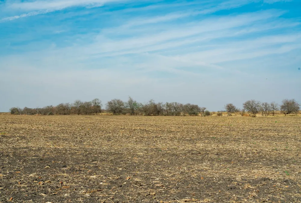 18402 Manda Carlson Road Coupland, TX 78615