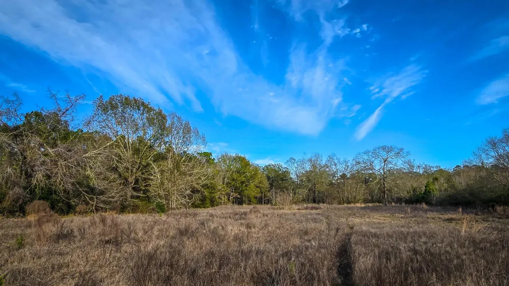 24995 Howser Drive New Caney, TX 77357