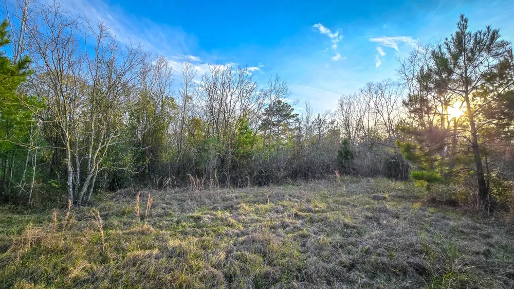 24995 Howser Drive New Caney, TX 77357