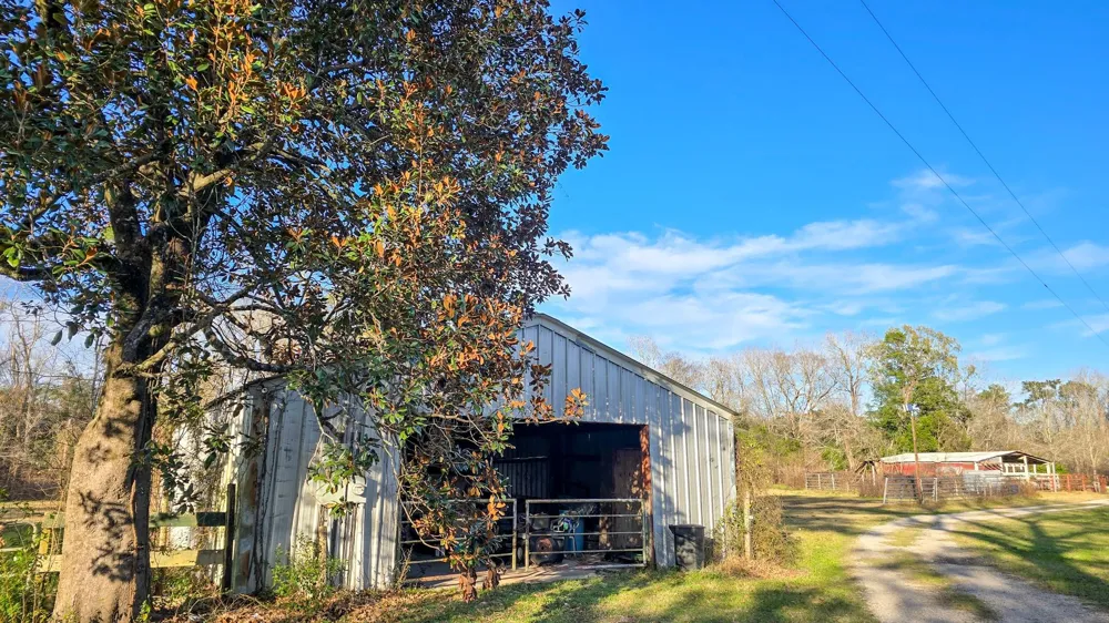 24995 Howser Drive New Caney, TX 77357