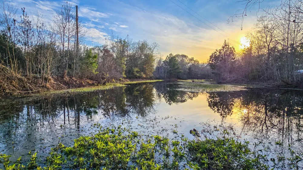 24995 Howser Drive New Caney, TX 77357