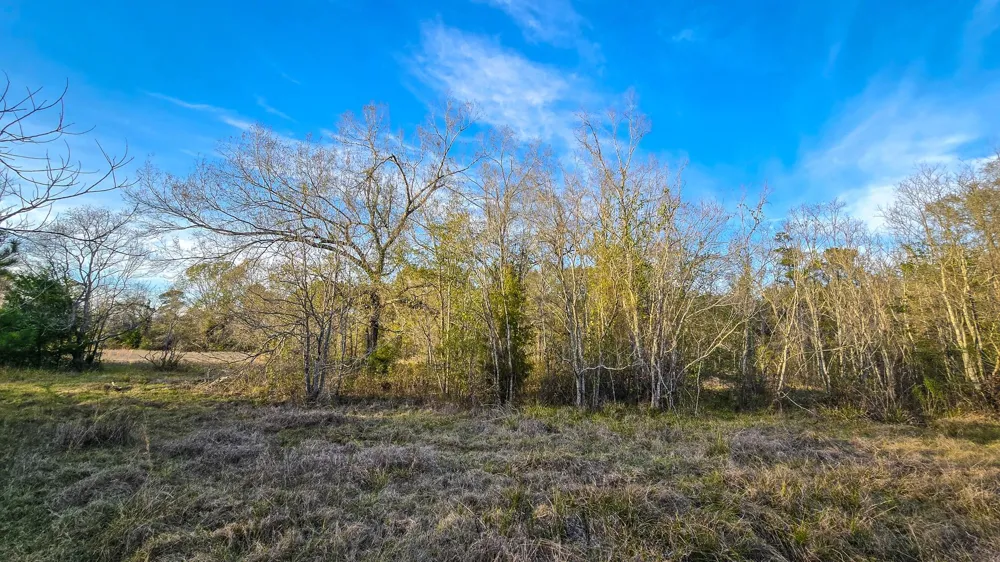 24995 Howser Drive New Caney, TX 77357
