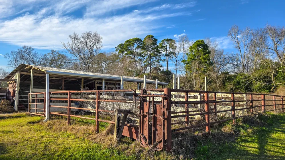 24995 Howser Drive New Caney, TX 77357