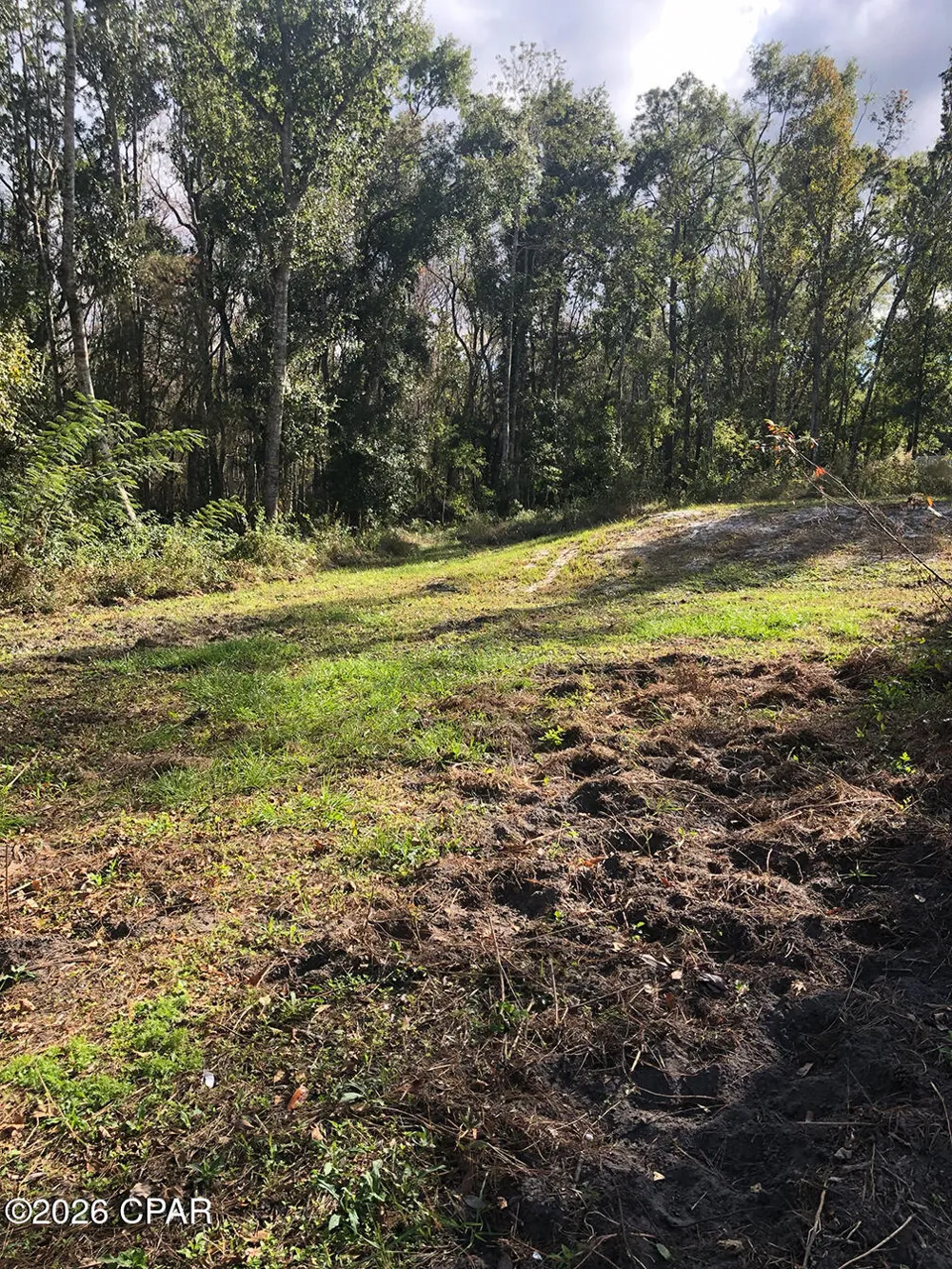 7322 E Max Fleming Road Wewahitchka, FL 32465