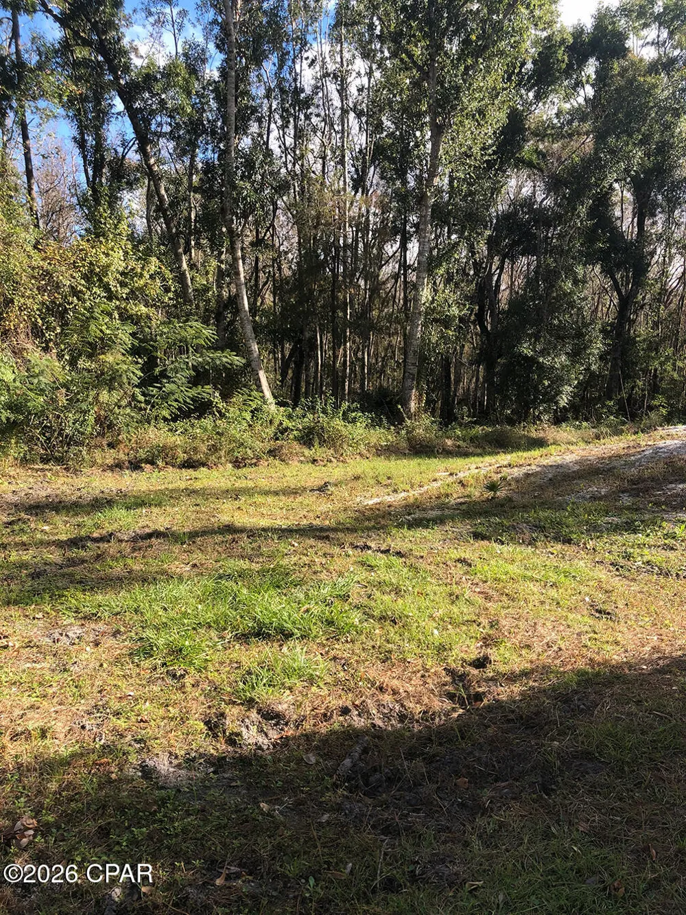 7322 E Max Fleming Road Wewahitchka, FL 32465