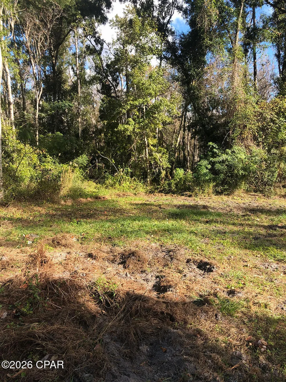 7322 E Max Fleming Road Wewahitchka, FL 32465