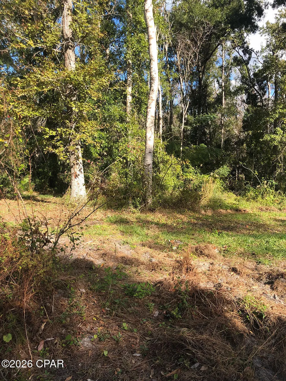 7322 E Max Fleming Road Wewahitchka, FL 32465