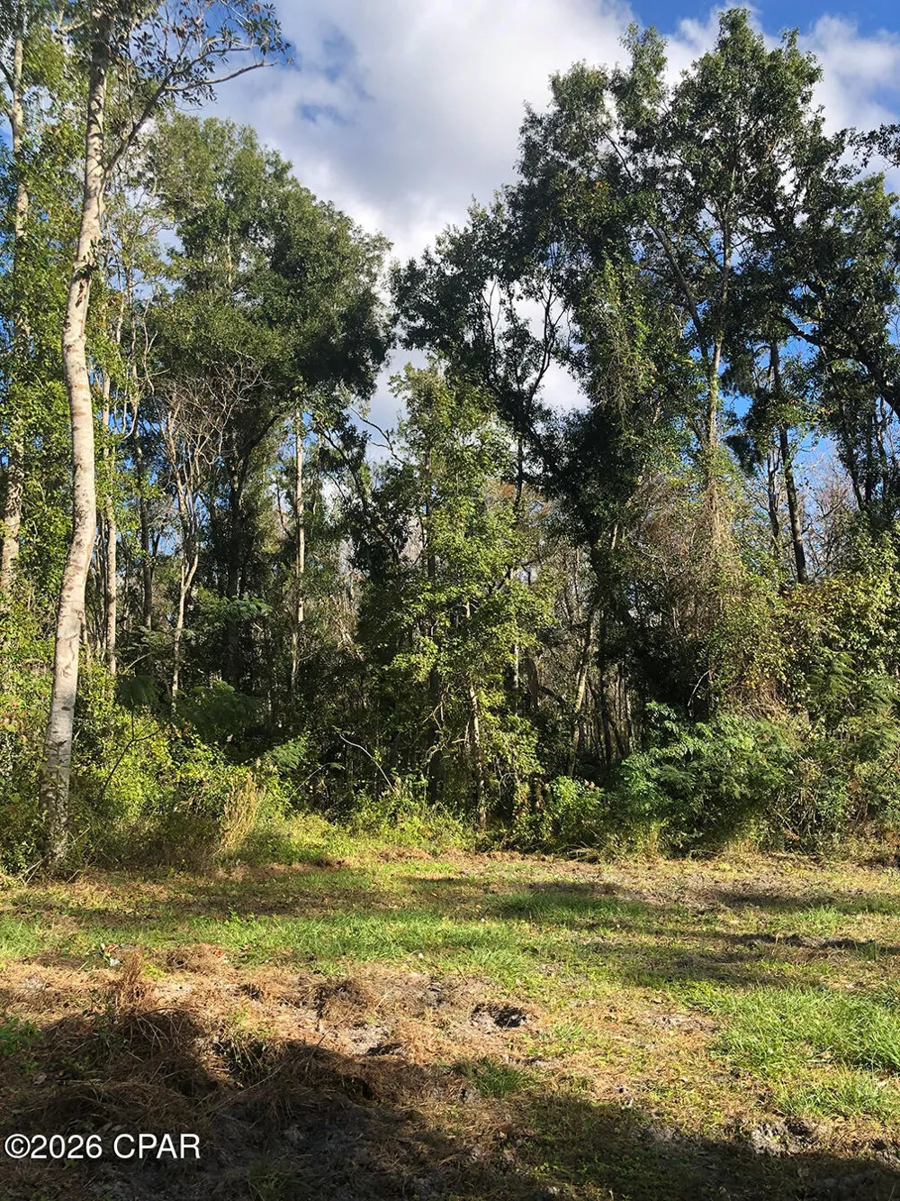 7322 E Max Fleming Road Wewahitchka, FL 32465