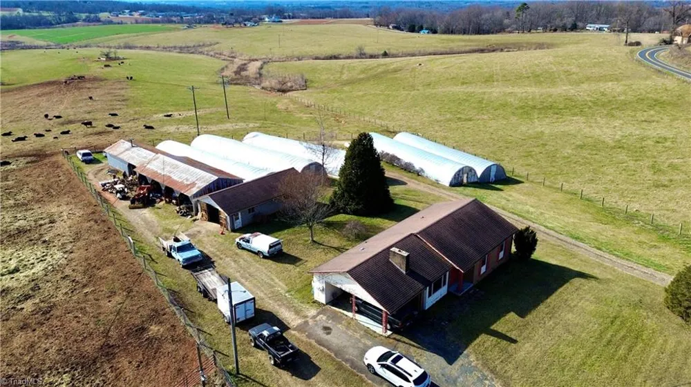 8621 Austin Traphill Road Traphill, NC 28685