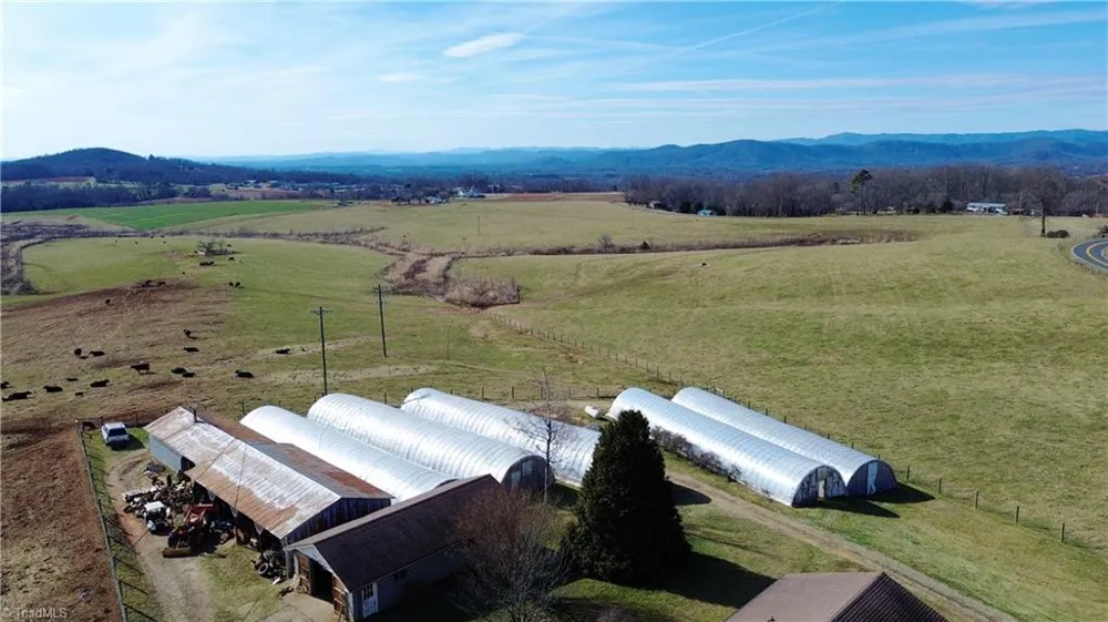 8621 Austin Traphill Road Traphill, NC 28685