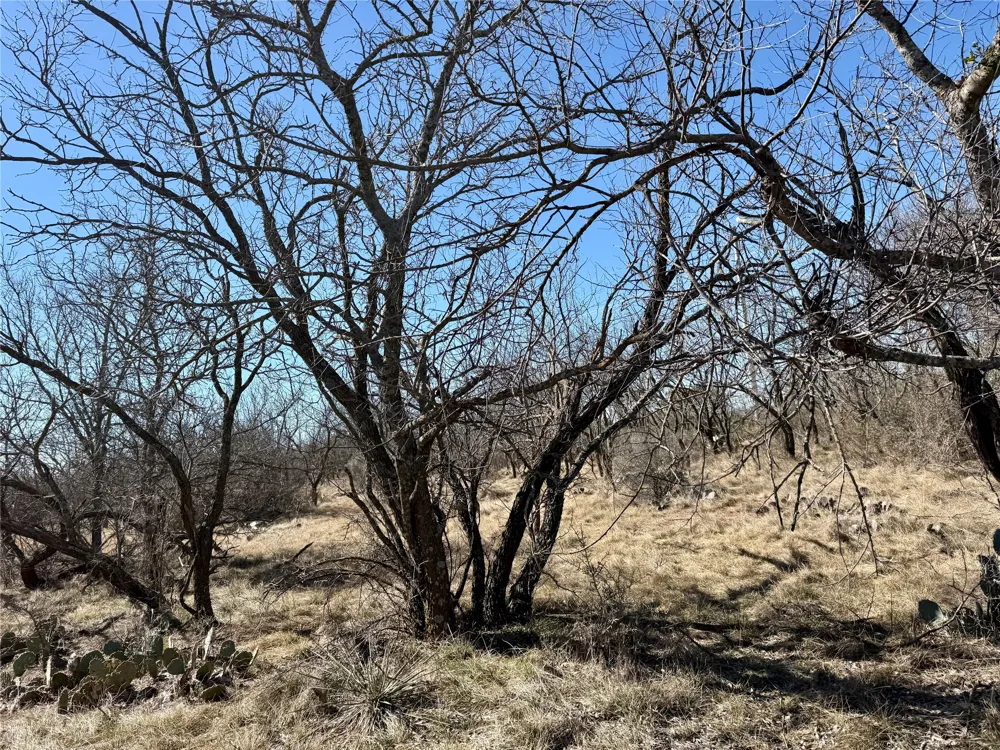 258 County Road 206 Ovalo, TX 79541