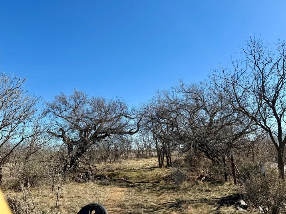 258 County Road 206 Ovalo, TX 79541