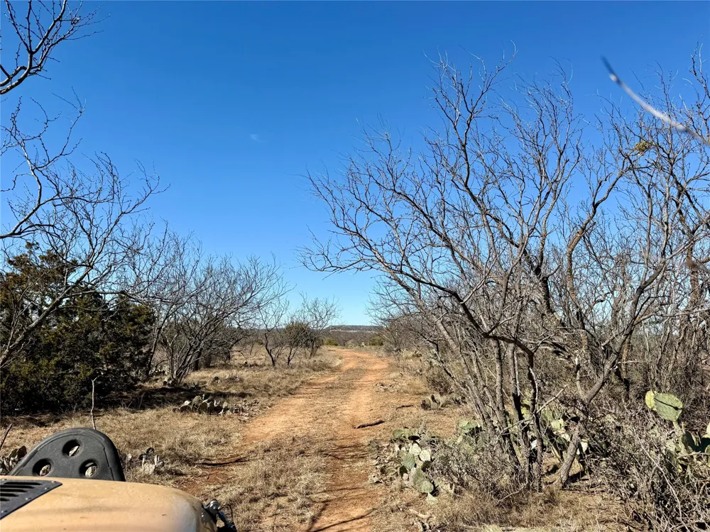 258 County Road 206 Ovalo, TX 79541