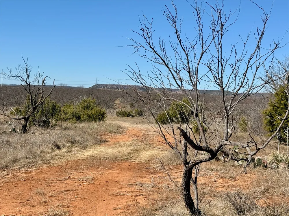 258 County Road 206 Ovalo, TX 79541