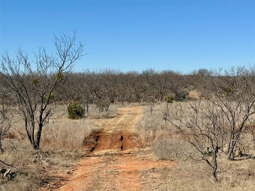 258 County Road 206 Ovalo, TX 79541