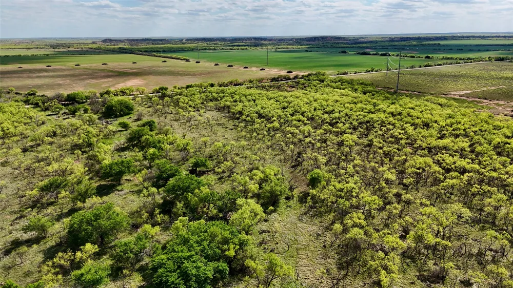 258 County Road 206 Ovalo, TX 79541