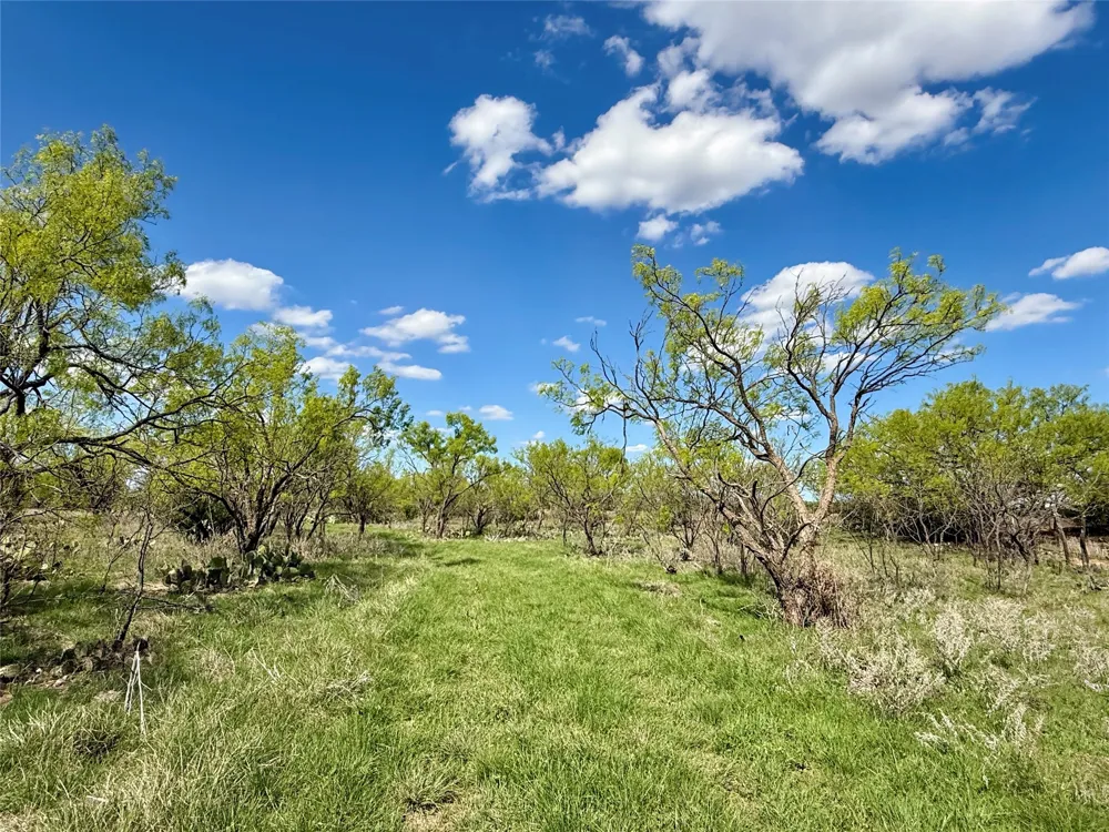 258 County Road 206 Ovalo, TX 79541