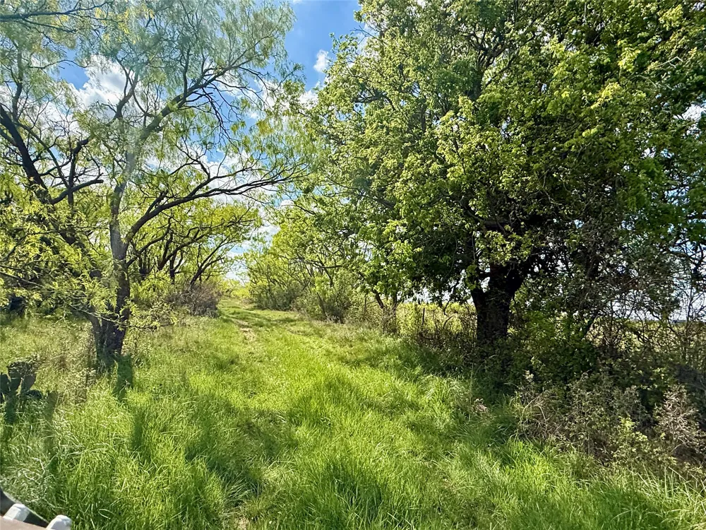 258 County Road 206 Ovalo, TX 79541