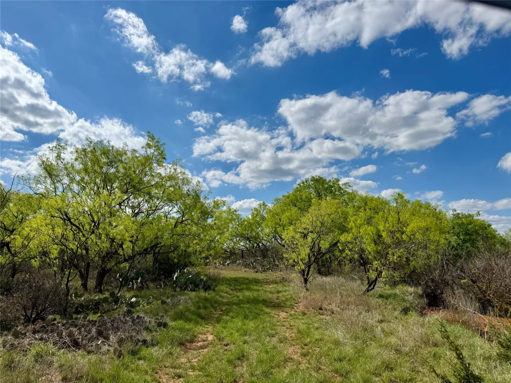258 County Road 206 Ovalo, TX 79541