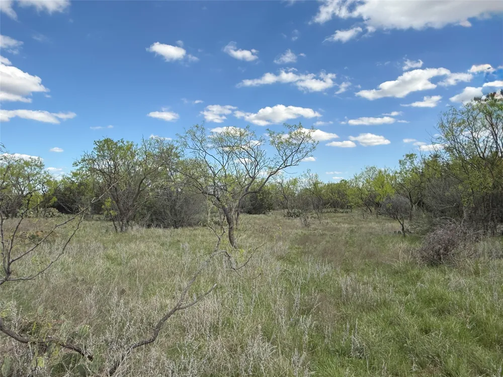 258 County Road 206 Ovalo, TX 79541