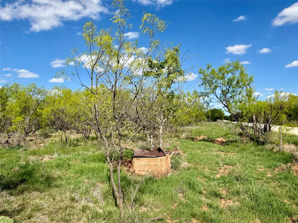 258 County Road 206 Ovalo, TX 79541