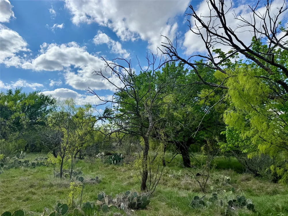 258 County Road 206 Ovalo, TX 79541