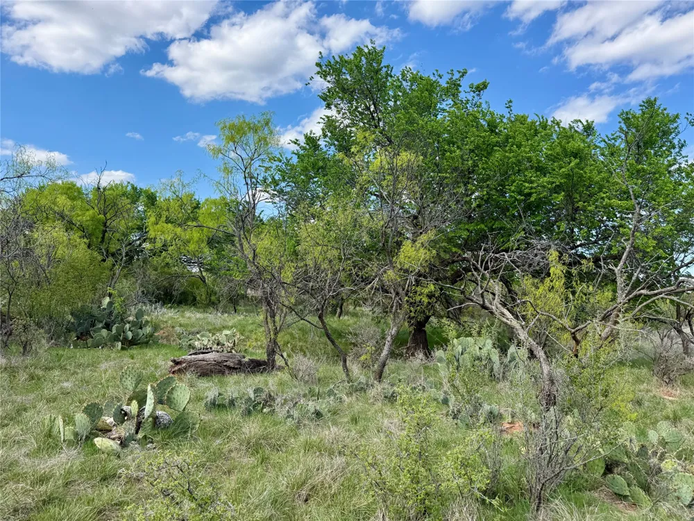 258 County Road 206 Ovalo, TX 79541