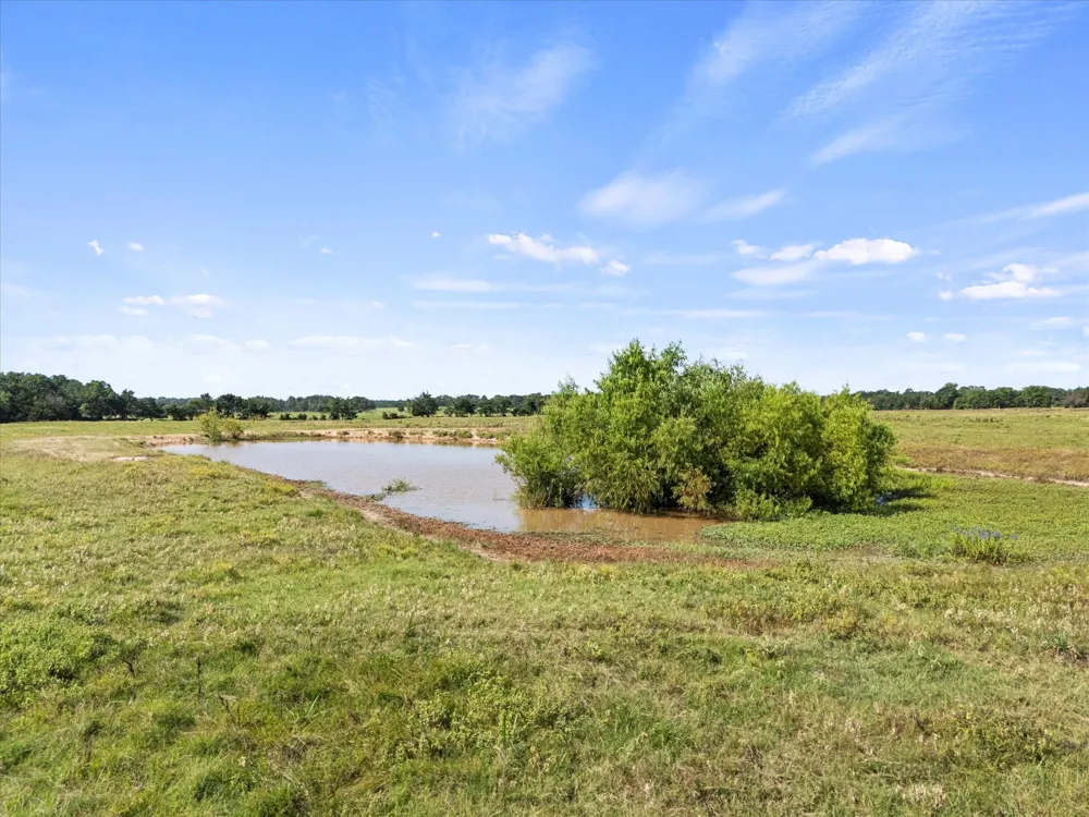 VZ CR 4607 Ben Wheeler, TX 75754
