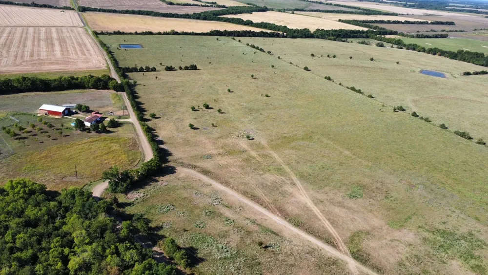 2497 county road 3320 #5 Pecan Gap, TX 75469