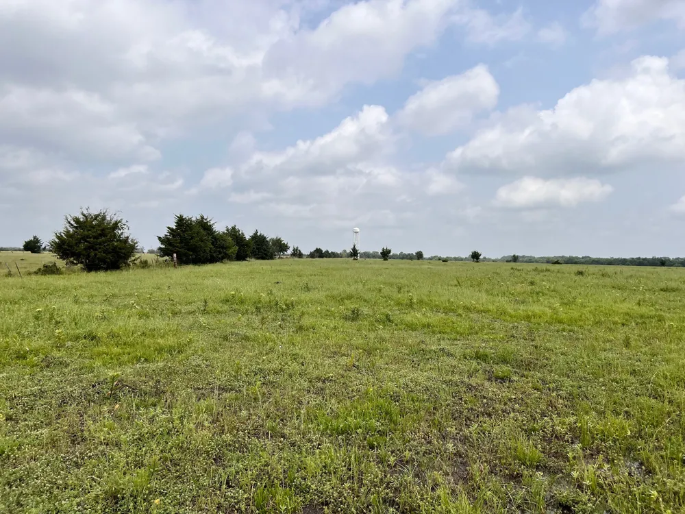 2497 county road 3320 #5 Pecan Gap, TX 75469