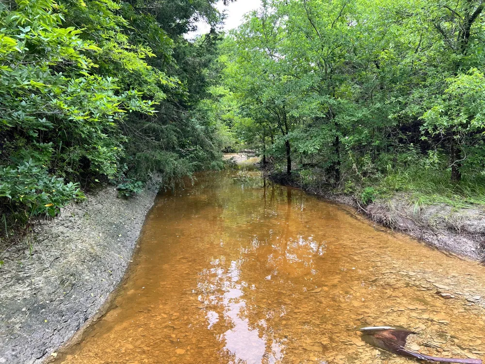 2497 county road 3320 #2 Pecan Gap, TX 75469