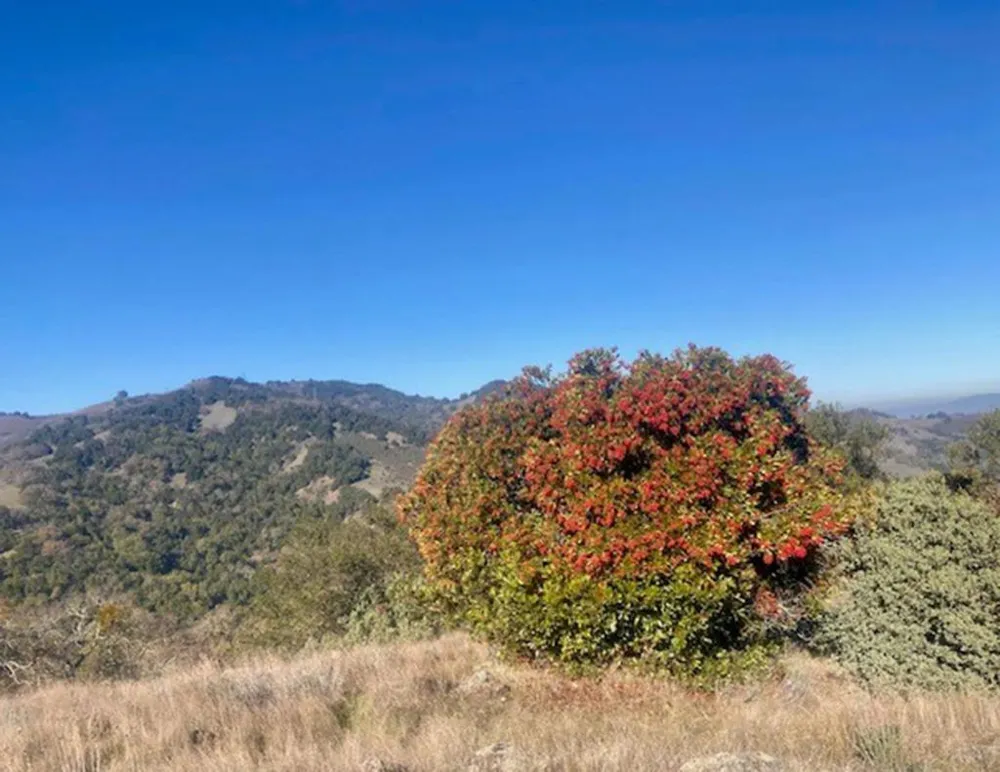 Cinnabar Hills Road San Jose, CA 95120