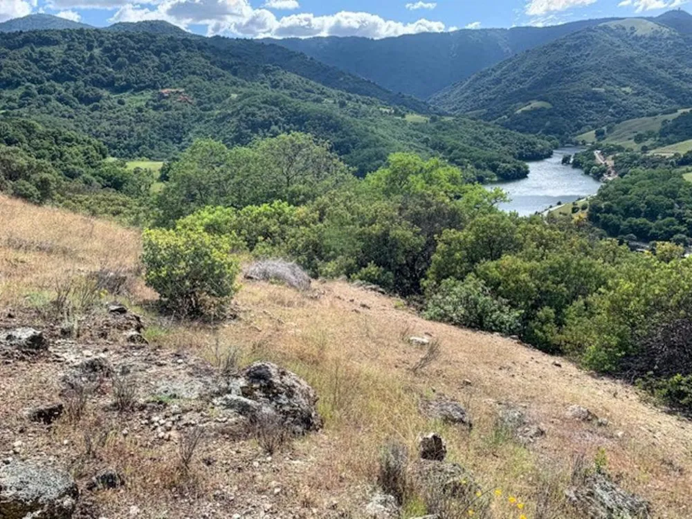 Cinnabar Hills Road San Jose, CA 95120