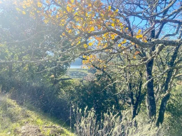 Cinnabar Hills Road San Jose, CA 95120