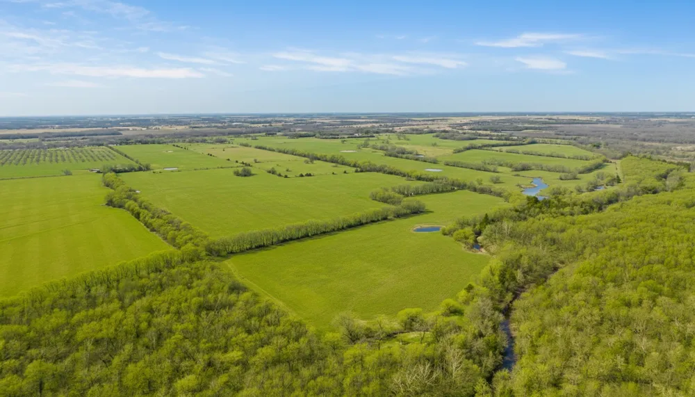 CR 14790 Paris, TX 75462
