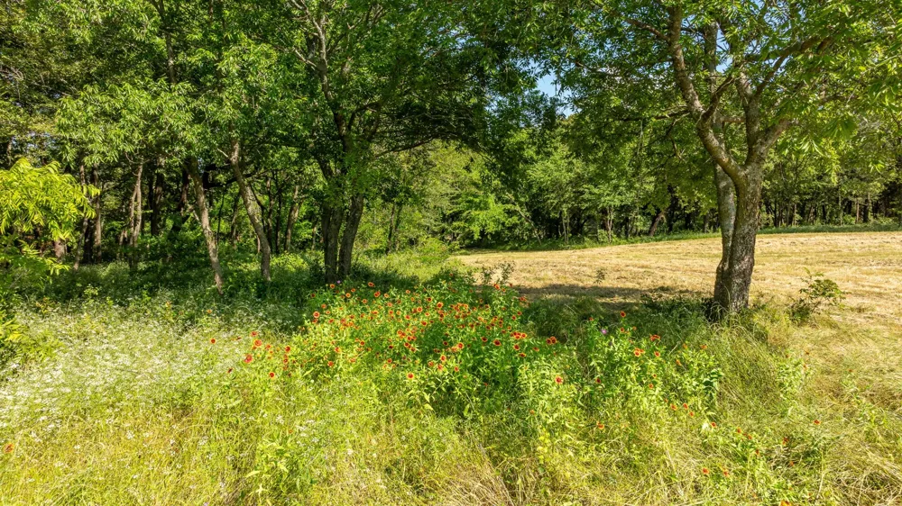 E FM 455 Pilot Point, TX 76258
