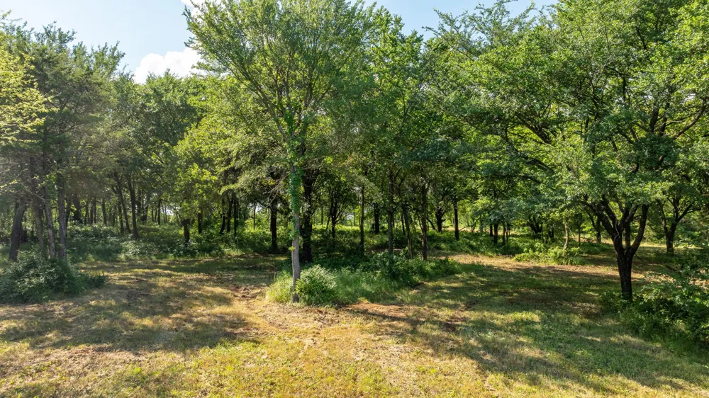 E FM 455 Pilot Point, TX 76258