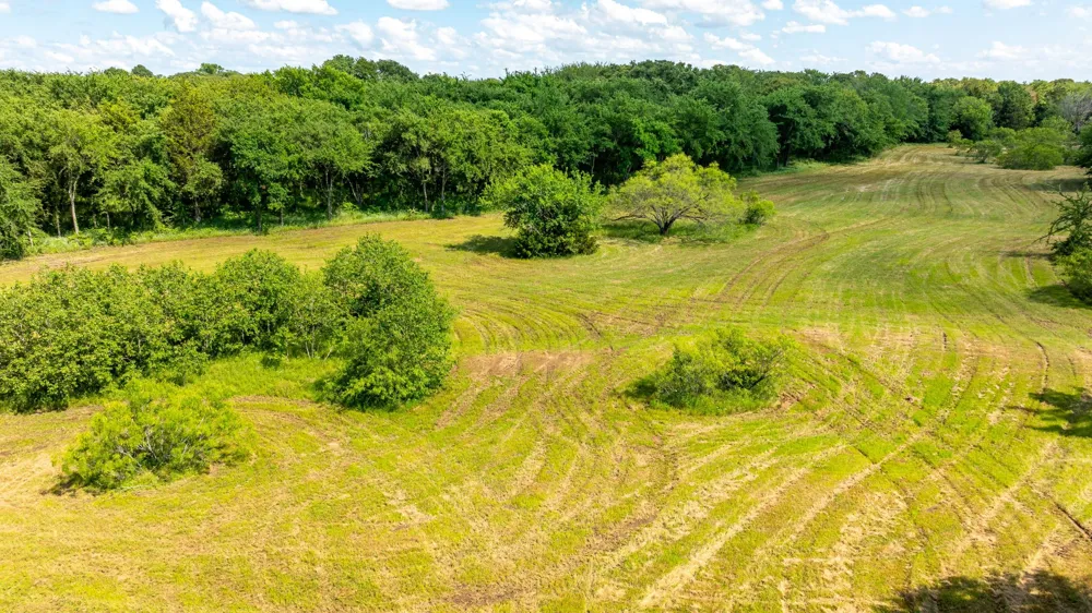 E FM 455 Pilot Point, TX 76258