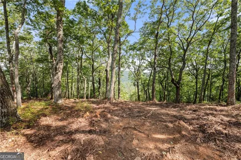 347 Highlands Drive