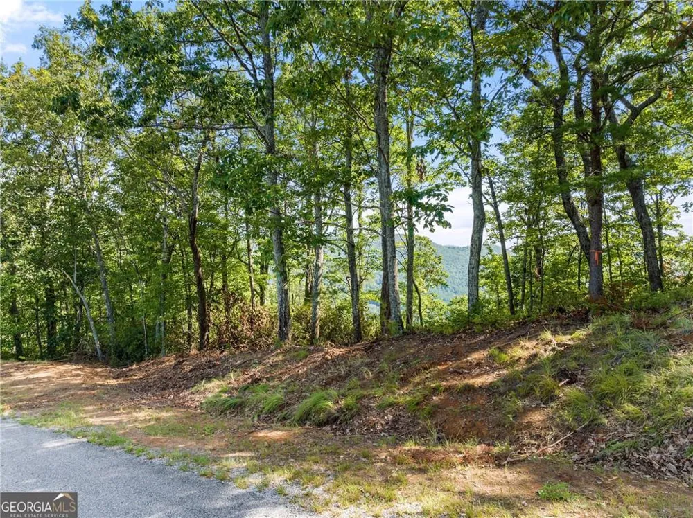 347 Highlands Drive Clarkesville, GA 30523