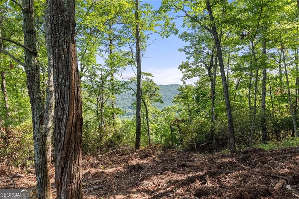 347 Highlands Drive Clarkesville, GA 30523