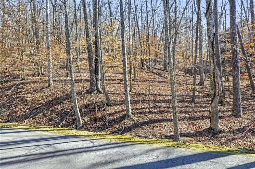 285 Hillside Drive Waleska, GA 30183