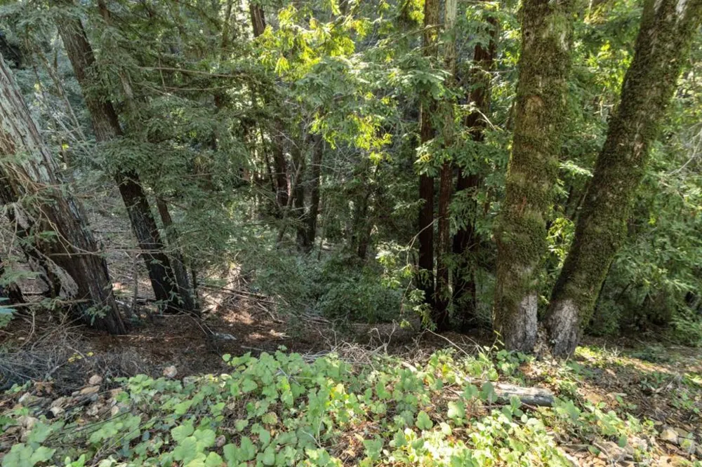 Buckeye Street Felton, CA 95018