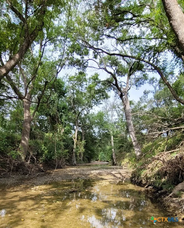 15010 Rosanky Road Holland, TX 76534