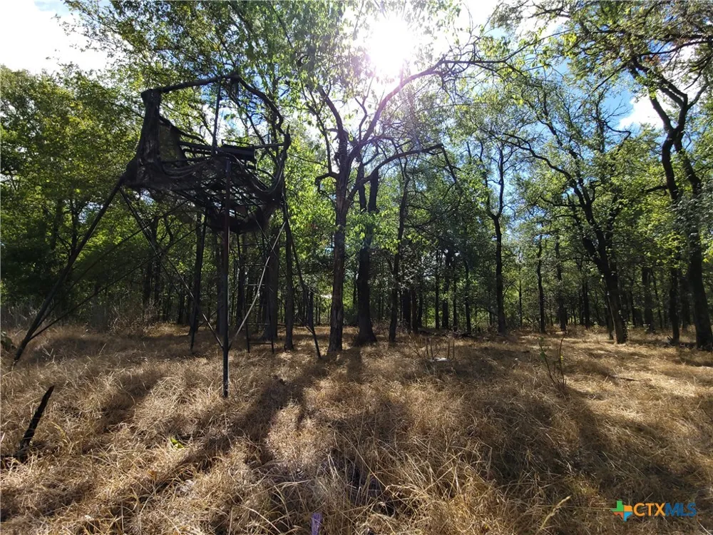 15010 Rosanky Road Holland, TX 76534